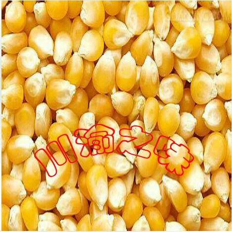 爆玉米花要用什么玉米