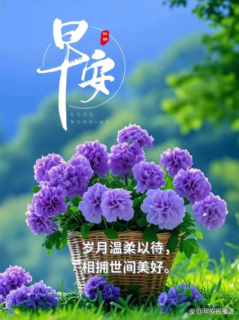 早安心语正能量早安问候