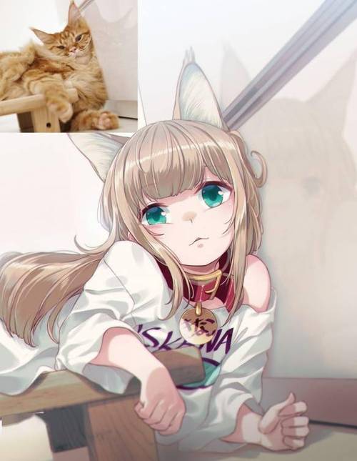 世界上有猫娘吗