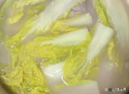 白菜拿开水烫一下能吃吗