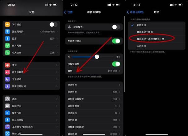 苹果home键震动怎么开