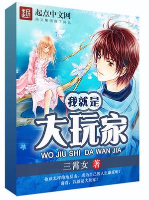 我是大玩家小说