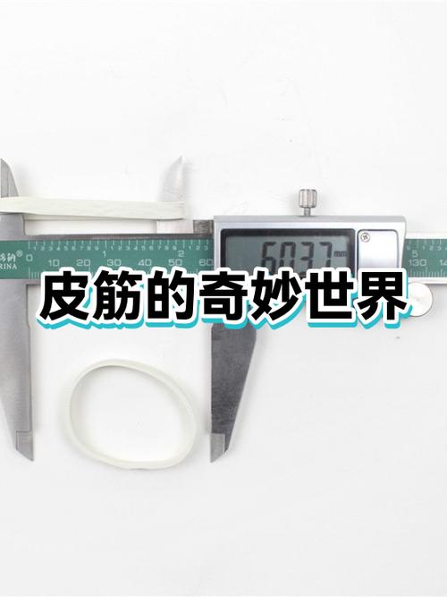 橡皮筋怎么保存时间长
