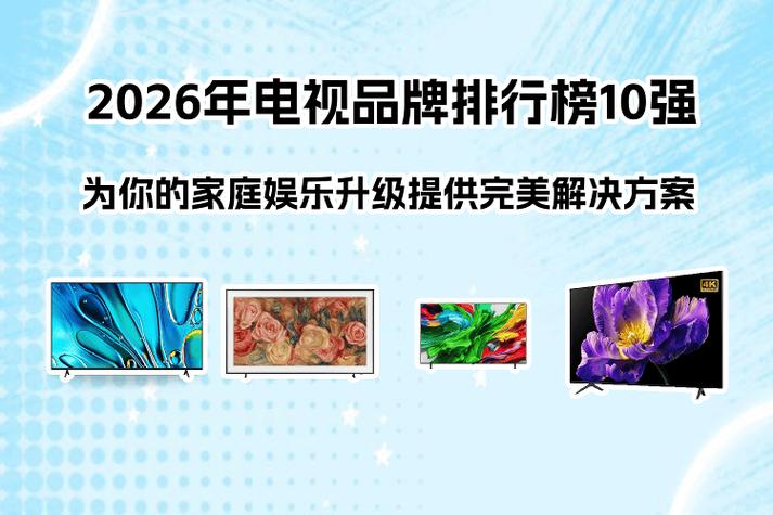 网络电视十大排行榜截图3