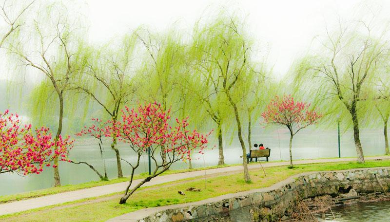 早春图片景色大全集