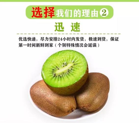 奇异果24小时人工服务热线