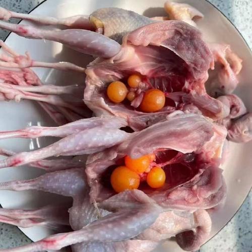 鹌鹑乌哪里有卖的