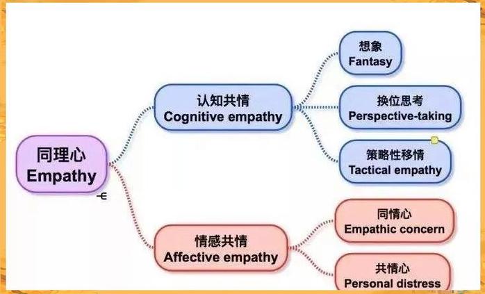 认知情感理论