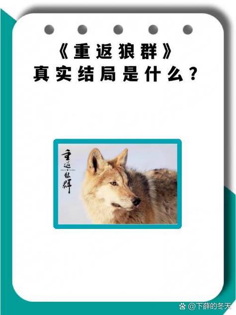狼群笔趣阁无弹窗免费阅读