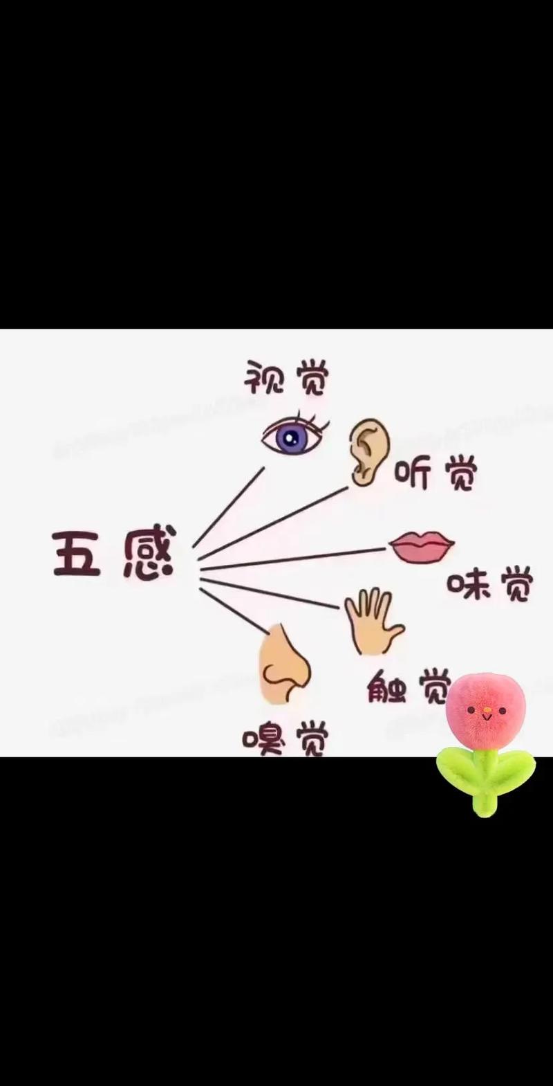 五感术显示没反应的原因