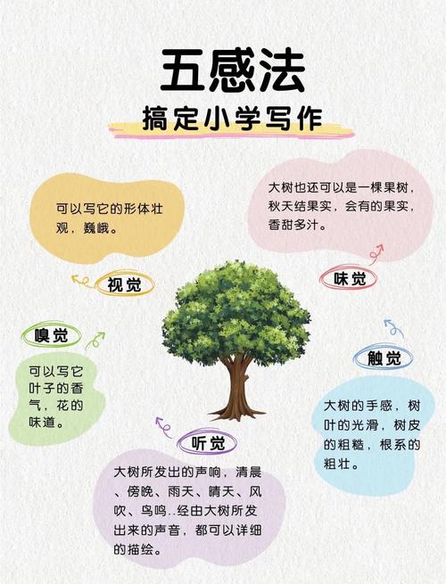 五感术显示没反应的原因截图2