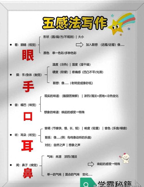 五感术显示没反应的原因截图3