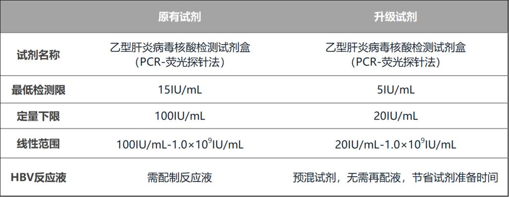 乙肝权威网