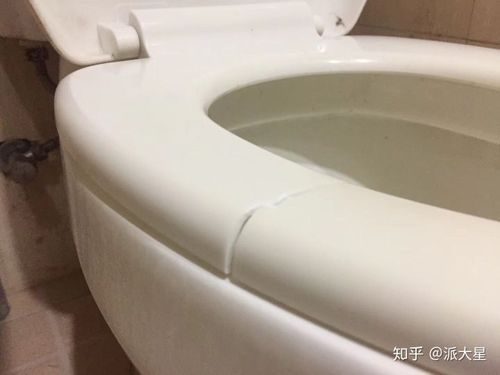 马桶盖第二层坐垫坏了