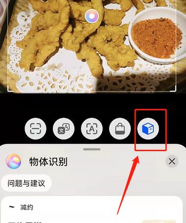 拍物识物的软件