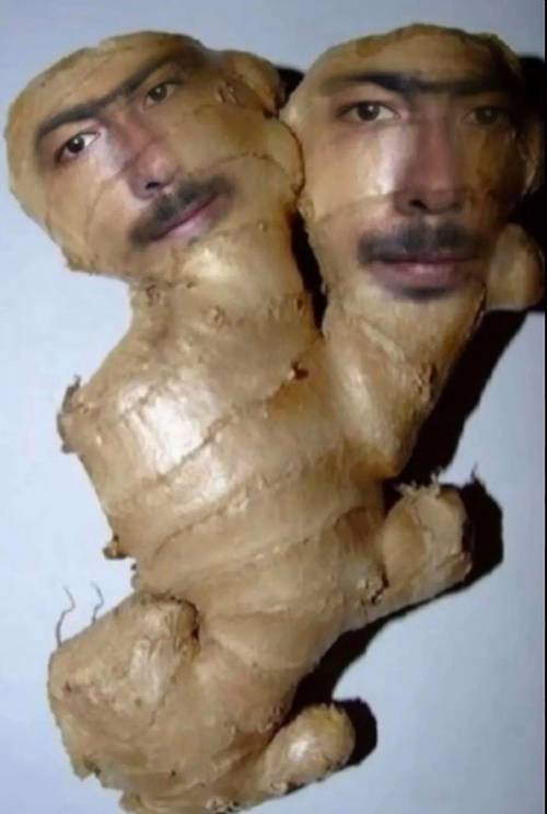 奥咪咪姜奕是哪里人