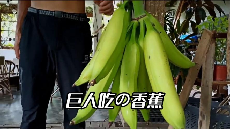 吃banana