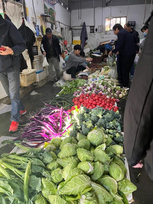 叮咚买菜 盒马鲜生