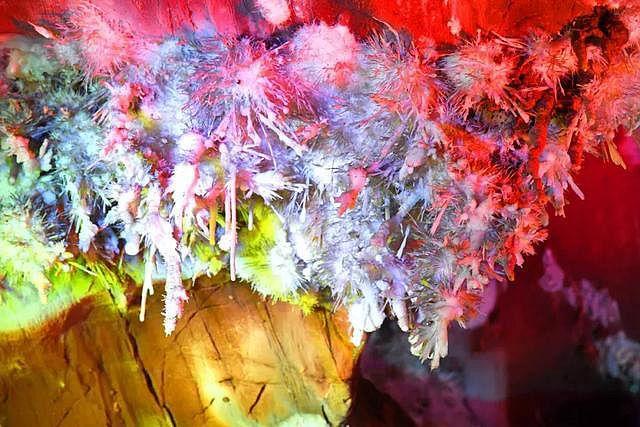 中国被称为宝石花的溶洞
