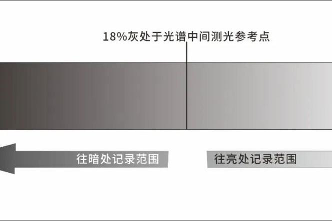 手机相机灰度模式