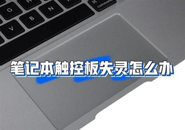 为什么笔记本触控板失灵了