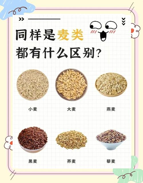 大麦麦芽和小麦麦芽的区别