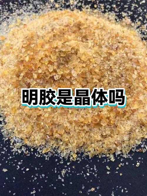 牛明胶和猪明胶哪个比较嫩