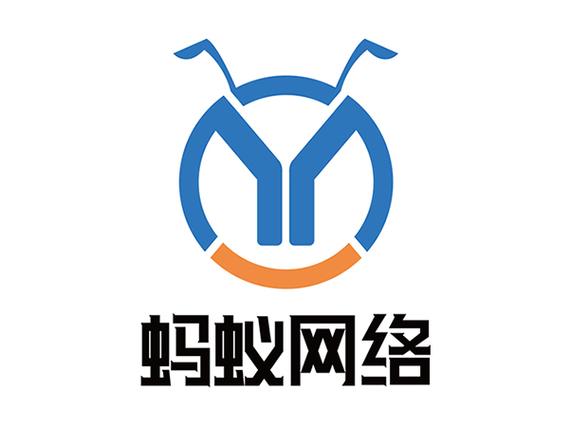 蚂蚁网络科技