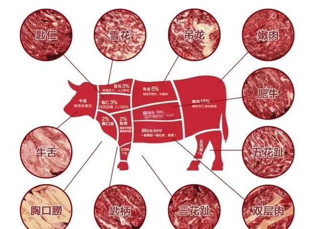 牛肉哪个部位好吃