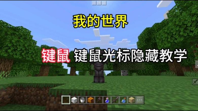 我的世界键鼠怎么隐藏鼠标