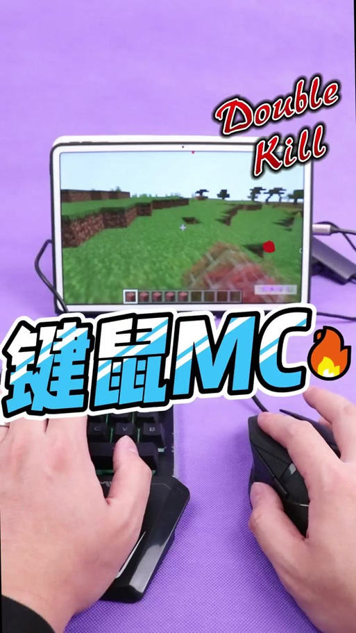 我的世界键鼠怎么隐藏鼠标截图2