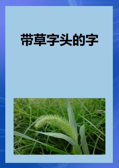上面一个草字头下面三个白是什么字