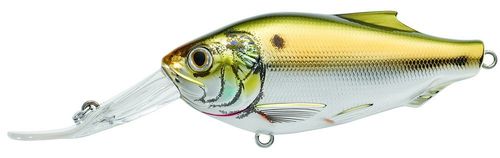 menhaden