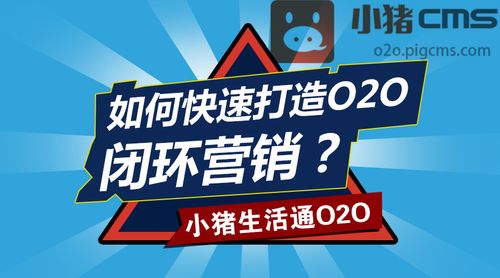 小猪服务做单平台