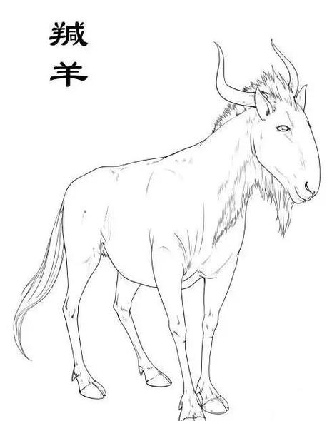 山海经中的挣