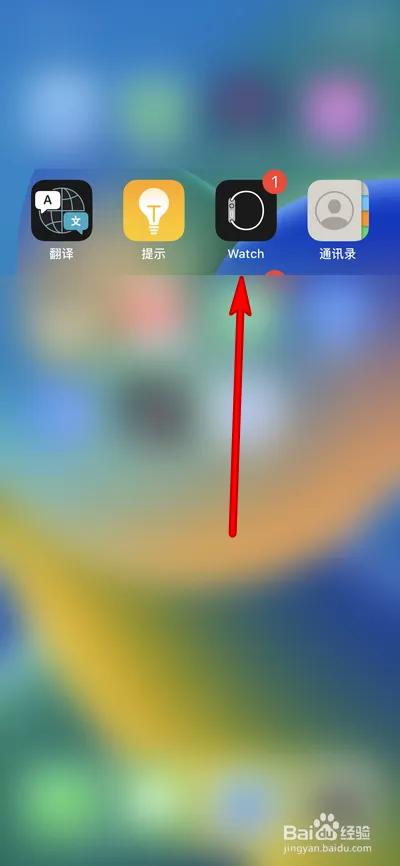 苹果主屏幕按钮不震动截图3
