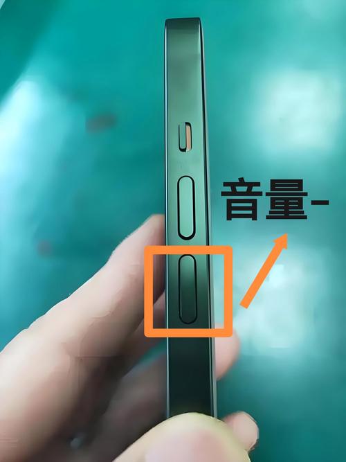 苹果手机如何调节闹钟音量截图3