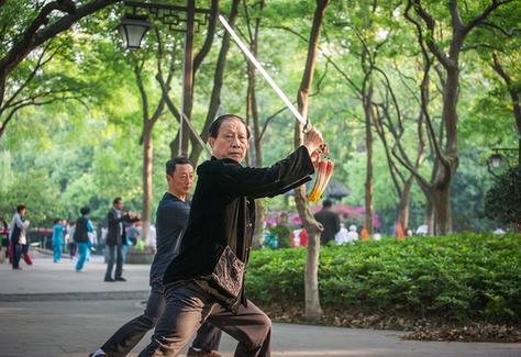 武林活拳视频
