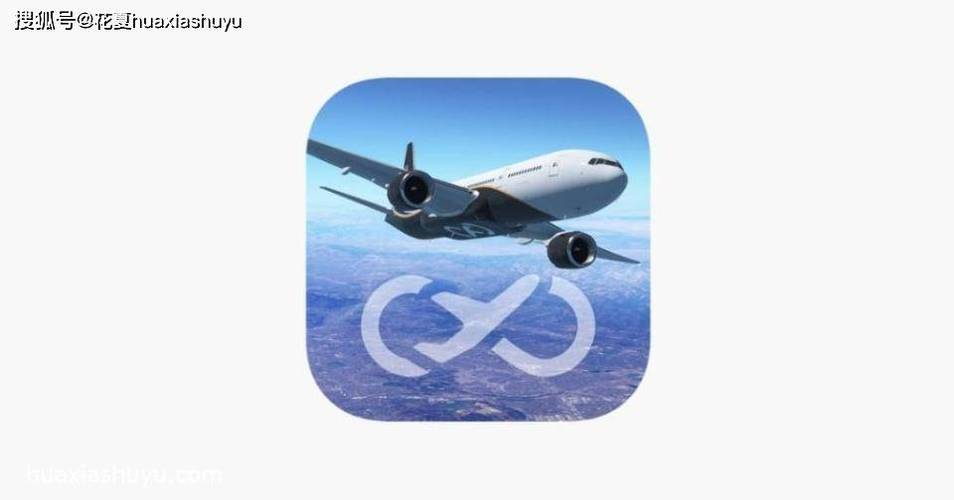 无限飞行怎么买pro