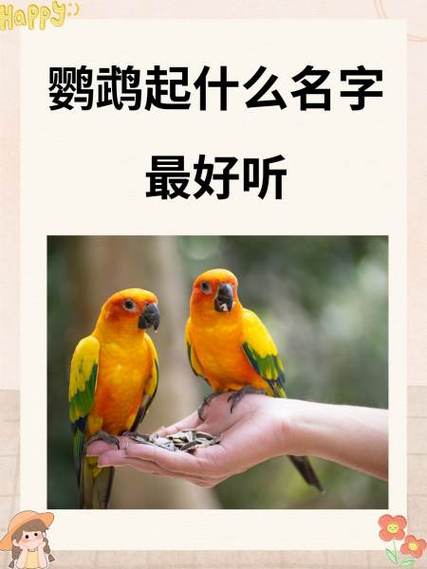 鹦鹉最旺三种人