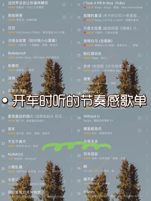 开车最适合听的十首歌