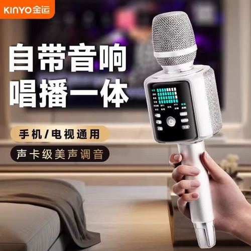 家庭ktv可以装声卡吗