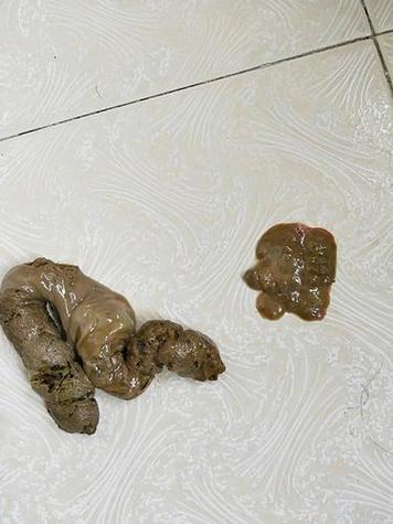 狗狗便便图片