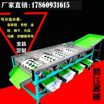 选果机价格表大全