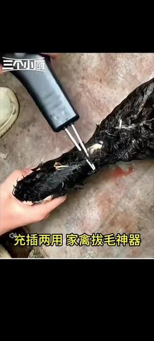 杀鸭神器视频