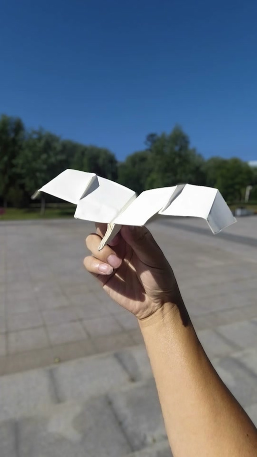 纸飞君真名截图2