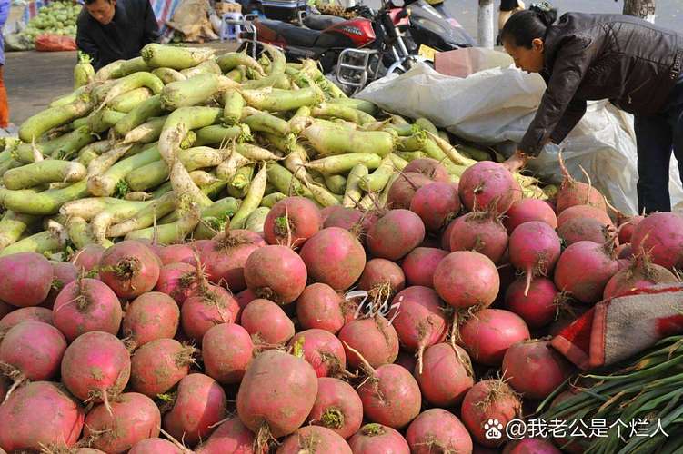保卫萝卜集市第32关攻略