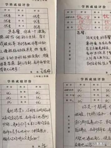 广东省普通高中学生综合素质评价