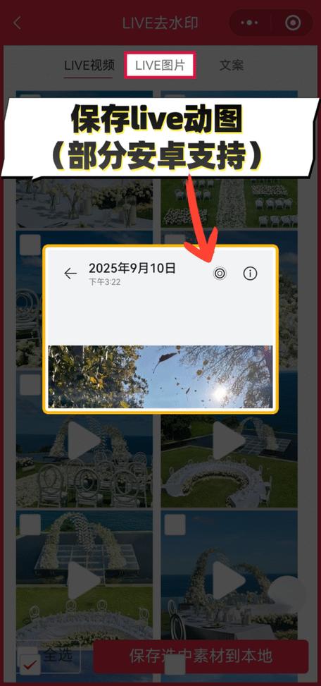 怎么无水印保存小红书视频