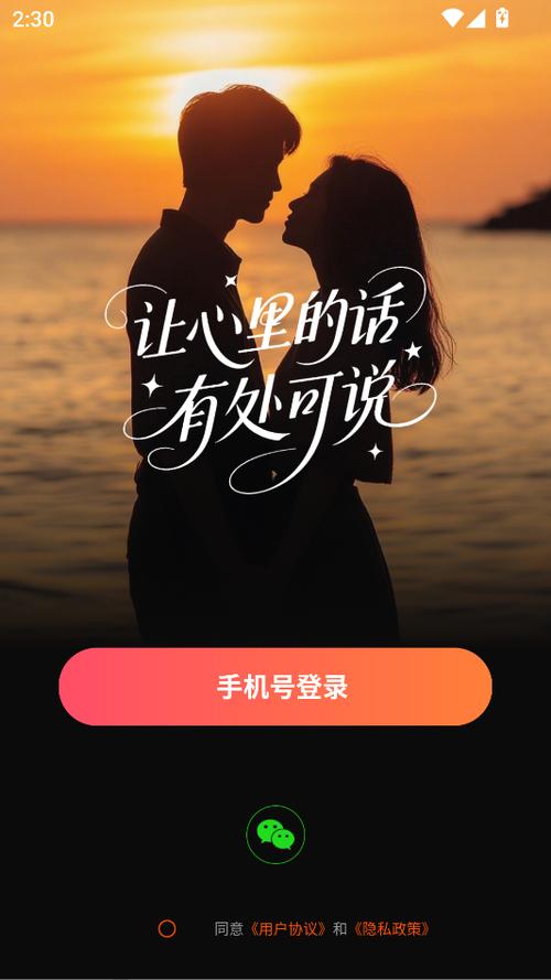 可以语聊的社交平台